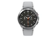 Samsung Galaxy Watch4 Classic - sølvfarget - smartklokke med åskamsportsbånd - sølv - 16GB - tysk versjon (SM-R895FZSADBT)