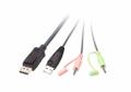 ATEN 2-Port USBDisplayPort Cable (CS22DP-AT)