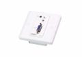 ATEN VGA/Audio Over Cat5 (VE157-AT-G)