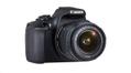 CANON CAMERA EOS 2000D 18-55IS+50MM F-FEEDS ( 2728C022)