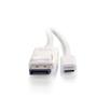 C2G 1.8m (6ft) USB C to DisplayPort Adapter Cable White - 4K Audio / Video Adapter - Extern videoadapter - USB-C - DisplayPort - vit (80564)