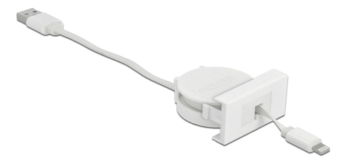 DELOCK Easy 45 Module USB 2.0 Retractable Cable USB Type-A to 8 Pin Li (81331)
