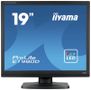 IIYAMA ProLite E1980D-B1 - LED monitor - 19" - 1280 x 1024 @ 60 Hz - TN - 250 cd/m² - 1000:1 - 5 ms - DVI, VGA - matte black