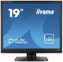 IIYAMA a ProLite E1980D-B1 - LED monitor - 19" - 1280 x 1024 @ 60 Hz - TN - 250 cd/m² - 1000:1 - 5 ms - DVI, VGA - matte black (E1980D-B1)