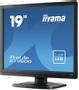 IIYAMA a ProLite E1980D-B1 - LED monitor - 19" - 1280 x 1024 @ 60 Hz - TN - 250 cd/m² - 1000:1 - 5 ms - DVI, VGA - matte black (E1980D-B1)