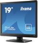 IIYAMA ProLite E1980D-B1 - LED monitor - 19" - 1280 x 1024 @ 60 Hz - TN - 250 cd/m² - 1000:1 - 5 ms - DVI, VGA - matte black (E1980D-B1)