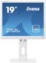 IIYAMA ProLite B1980D-W1 - LED monitor - 19" - 1280 x 1024 @ 60 Hz - TN - 250 cd/m² - 1000:1 - 5 ms - DVI, VGA - matt white