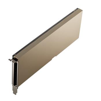 NVIDIA A10 PCIE   CTLR (900-2G133-0020-100)