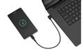 KENSINGTON n Charge & Sync USB-C Cable (5-pack) - USB cable - USB (M) angled to 24 pin USB-C (M) straight - USB 2.0 - 20 V - 3 A - 32.7 cm - black (pack of 5) (K65610WW)