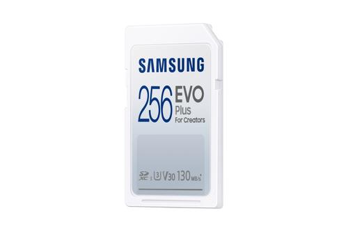 SAMSUNG Evo Plus 256 Gb Sdxc Uhs-I (MB-SC256K/EU)