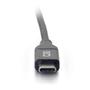 C2G G 3m (10ft) USB C Cable - USB 2.0 (5A) - M/M USB Type C Cable - Black - USB cable - 24 pin USB-C (M) to 24 pin USB-C (M) - USB 2.0 - 5 A - 3 m - black (88829)