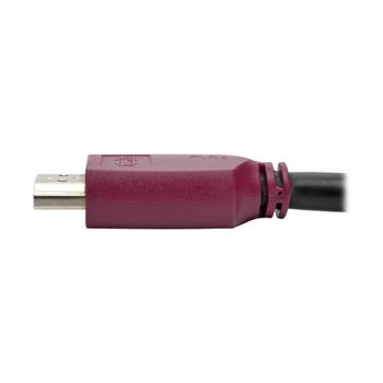 TRIPP LITE 4K Hdmi Cable With Ethernet (P569-010-CERT)