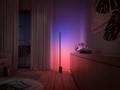 PHILIPS Hue White and Color Ambiance Gradient Signe (915005987201)