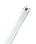 LEDVANCE Fluorescent tube L 18W/840 ( C) - BULK