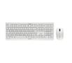 CHERRY DW3000 WRLS DESKTOP DEU GREY GERMANY - PALE GREY PERP