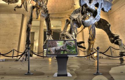 PEERLESS 55" Landscape Kiosk (KILH555-EUK)