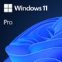 MICROSOFT MS 1x Windows 11 Pro 64-Bit DVD OEM English International (EN)