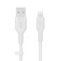 BELKIN Usb Cable 1 M Usb A Usb  (CAA008BT1MWH)
