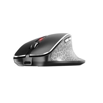 CHERRY MW 8C ERGO Mouse (JW-8600)