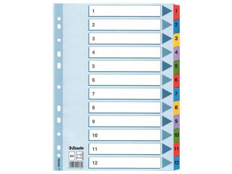 ESSELTE Register Mylar A4 1-12 flerfarvet (100162)