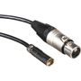 BLACKMAGIC mini-XLR – XLR -adapterikaapeli