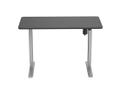EQUIP Ergo Electric Sit-Stand Desk  (650811)