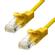 ProXtend CAT5e U/UTP CU PVC Ethernet  (5UTP-15Y)