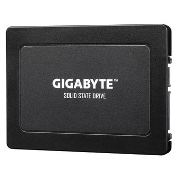 GIGABYTE Internal Solid State Drive (GP-GSTFS31960GNTD-V)