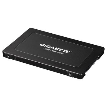 GIGABYTE Internal Solid State Drive (GP-GSTFS31960GNTD-V)