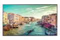 SAMSUNG 65" UHD/4K 16:9 QM65R-B edge-LED