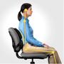FELLOWES Professional Series Ultimate Back Support Black 8041801 (8041801)