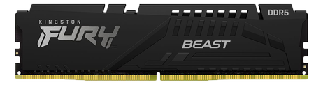 Kingston FURY Beast 16GB 5600MHz DDR5 (1x 16GB) CL40-40-40,  1.25V (KF556C40BB-16)