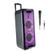 NGS Partyspeaker Wildrave2 300W Trolly BT TWS LED