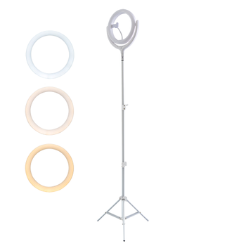 4smarts Selfie Ring Light LoomiPod Floor Lamp white (462711)