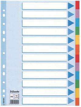 ESSELTE Deler A4 (210 x 297 mm) (100194)