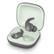 APPLE Fit Pro Sage Gray