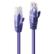 LINDY U/UTP PatchCord Cat6. CU. Purple. 0.3m Factory Sealed