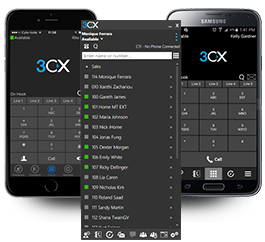 3CX Phone System Enterprise Edition (3CXPSPROFENTSPLA12M16)