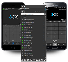 3CX Phone System Enterprise Edition (3CXPSPROFENTSPLA12M8)