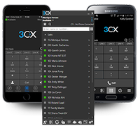 3CX Phone System Professional Edition Internet- og kommunikationsprogrammer 1 år