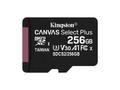 ALLNET Flash SecureDigitalCard (SD) 256GB microSDXC Canvas Select Plus SDCS2/256GBSP