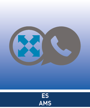 AGFEO ES-AMS ONLINE LIZENZ LICS (7997411)