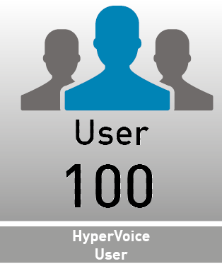AGFEO HYPERVOICE 100 USER BASIC LICENSE USER LICS (7997549)
