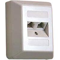 BTR Dose ISDN 2x8(4) 4pol. AUFPUTZ RJ12+RJ45 *** 130005 001 ** (130005001-I)