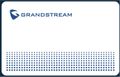 GRANDSTREAM GDS TFE RFID Card bundle 10 Stück