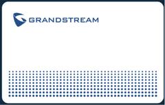 GRANDSTREAM GDS TFE RFID Card bundle 10 Stück