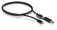 ICY BOX Usb Cable 1 M Usb 3.2 Gen 2 
