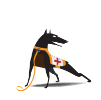 Ruckus Wireless SZ/ vSCG3.X GRE to GW tunnel li c. 1 AP (L09-0001-RXGW)