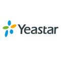 YEASTAR P-Serie Enterprise Plan P520 (1 Jahr)