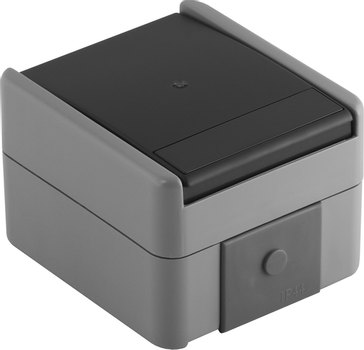 TEM Serie  Fontana PUSH BUTTON 1WAYIP44 10A 250V~ (SF11GYTI-U)